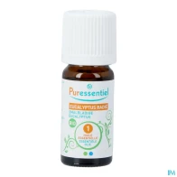 Puressentiel huile essentielle eucalyptus radie bio 10ml | Aesiel
