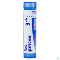 Boiron ruta graveolens 9ch granules 4g | Aesiel
