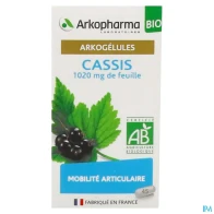 Arkopharma arkogelules cassis bio gelule 45 | Aesiel