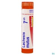 Boiron lachesis (mutus) 7ch granules 4g | Aesiel
