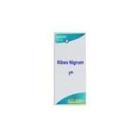 Ribes nigrum 1dh gt 125 boi