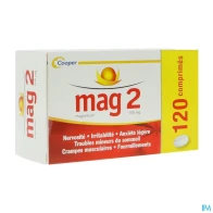 Mag 2 100mg comprime 120 | Aesiel
