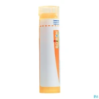 Boiron pollens/pollanti 15ch granules 4g | Aesiel