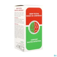 Massif chartreuse sirop vegetal 200ml | Aesiel