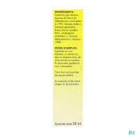 Rescue bach pets nuit compte gouttes 20ml | Aesiel