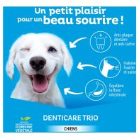 Clement thekan denticare trio lamelles a macher chien xs 15