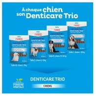 Clement thekan denticare trio lamelles a macher chien s 15