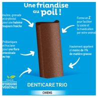 Clement thekan denticare trio lamelles a macher chien m 15