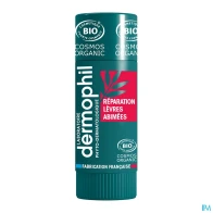 Dermophil indien bio stick levres reparation 4g | Aesiel