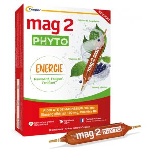 Cooper mag 2 ampoules phyto energie x15