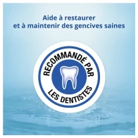 Cb12 bain de bouche gencives 250ml | Aesiel