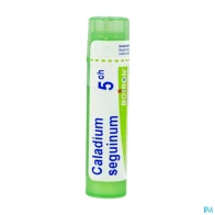 Boiron caladium seguin. 5ch granules 4g | Aesiel
