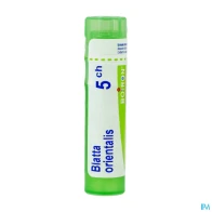 Boiron blatta oriental. 5ch granules 4g | Aesiel