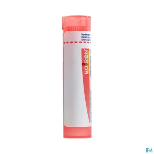 Boiron equisetum arv. 7ch granules 4g | Aesiel