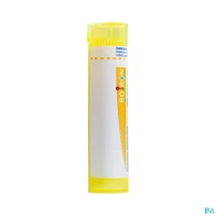 Boiron veine 4ch granules 4g | Aesiel