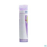 Boiron metallum iodatum 30ch granules 4g | Aesiel