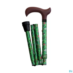 Herdegen canne derby pliante flore | Aesiel