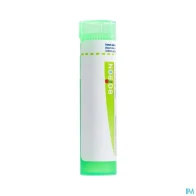 Boiron lachesis (mutus) 5ch globules 1g | Aesiel