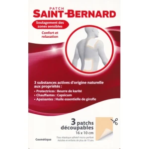 St bernard patch x3 | Aesiel