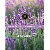 Christine darvin - lilas bleu | Aesiel