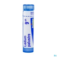 Ledum palustre 9ch tg b