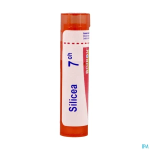 Silicea 7ch tg b