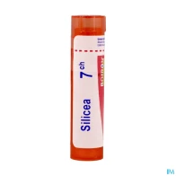 Silicea 7ch tg b