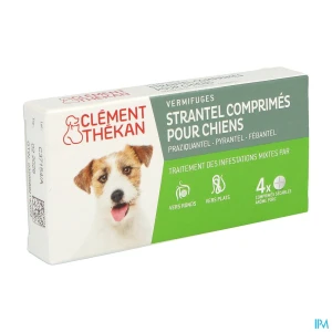 Strantel chien comprimé 4