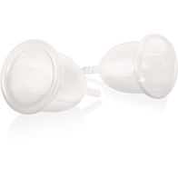 Saforelle coupe menst transp t1 x2