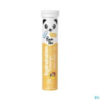 Panda tea hydratation & énergie citron-passion x20