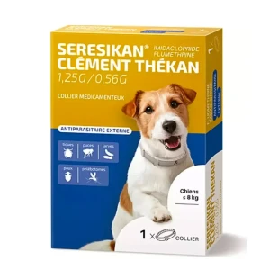 Clement Thekan Seresikan collier petit chien