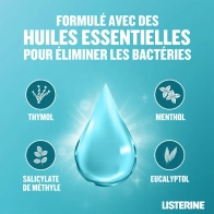 Listerine fraîcheur bain de bouche gout plus leger 500ml
