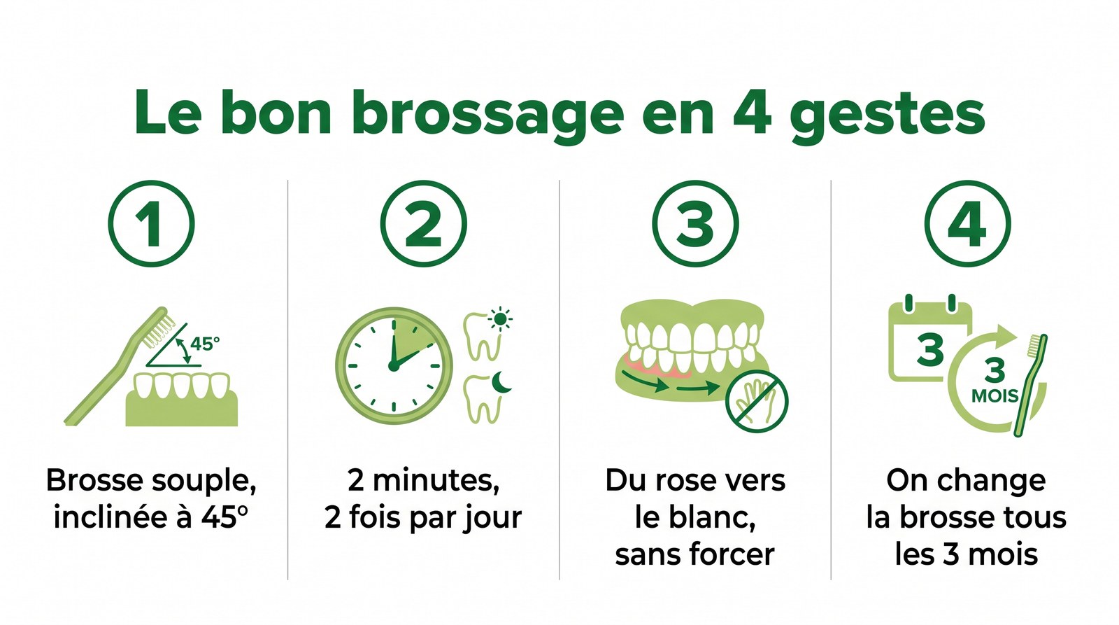 Infographie du bon brossage des dents en 4 gestes avec une brosse à dents souple