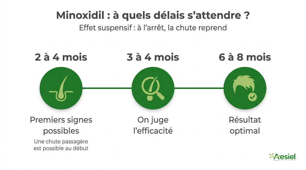 Minoxidil : à quels délais s'attendre — premiers signes 2 à 4 mois, on juge l'efficacité 3 à 4 mois, résultat optimal 6 à 8 mois ; effet suspensif