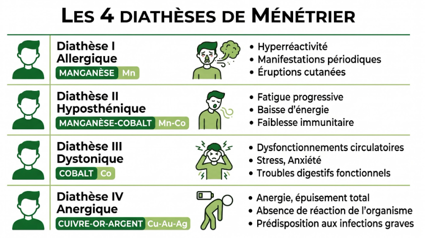 les 4 diatheses de menetrier